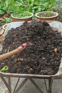 kompost i trillebør