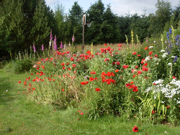 Ã
ben Ãkohave: landbohaven i telling/galleri flora