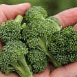 Broccolibuketter 6. januar 2005