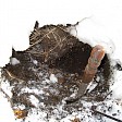 Der graves kompost ud af snedriverne