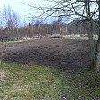 Boldbane eller kartoffelmark?