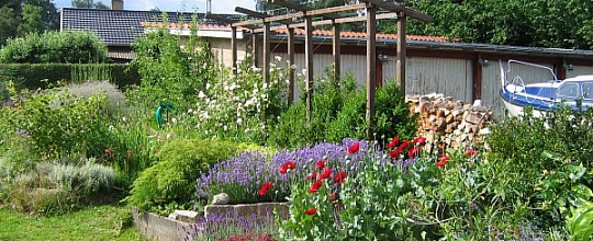 Vores nye espalier